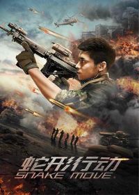 �����ж���Ӱ�ӽ�˵��