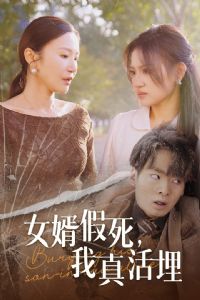 Ů���������������