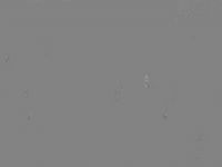 �������� ��������VS�������� 20240720