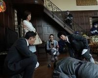 �����Ȳ� SP 7