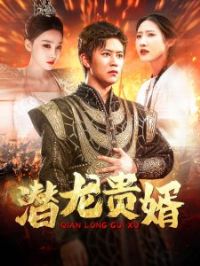 Ǳ������