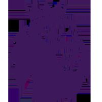 Ӣ������ ������VS������20260304