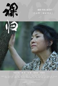 ����Ӱ��